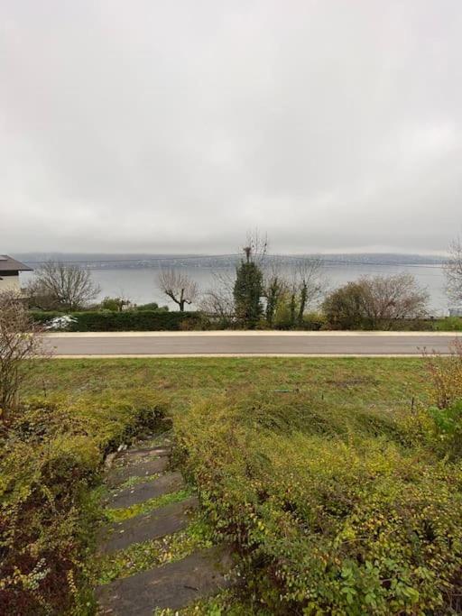 La Roseliere Sud, Vue Lac & Jardin Sévrier Extérieur photo